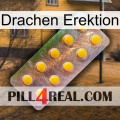 Dragon Erection new11